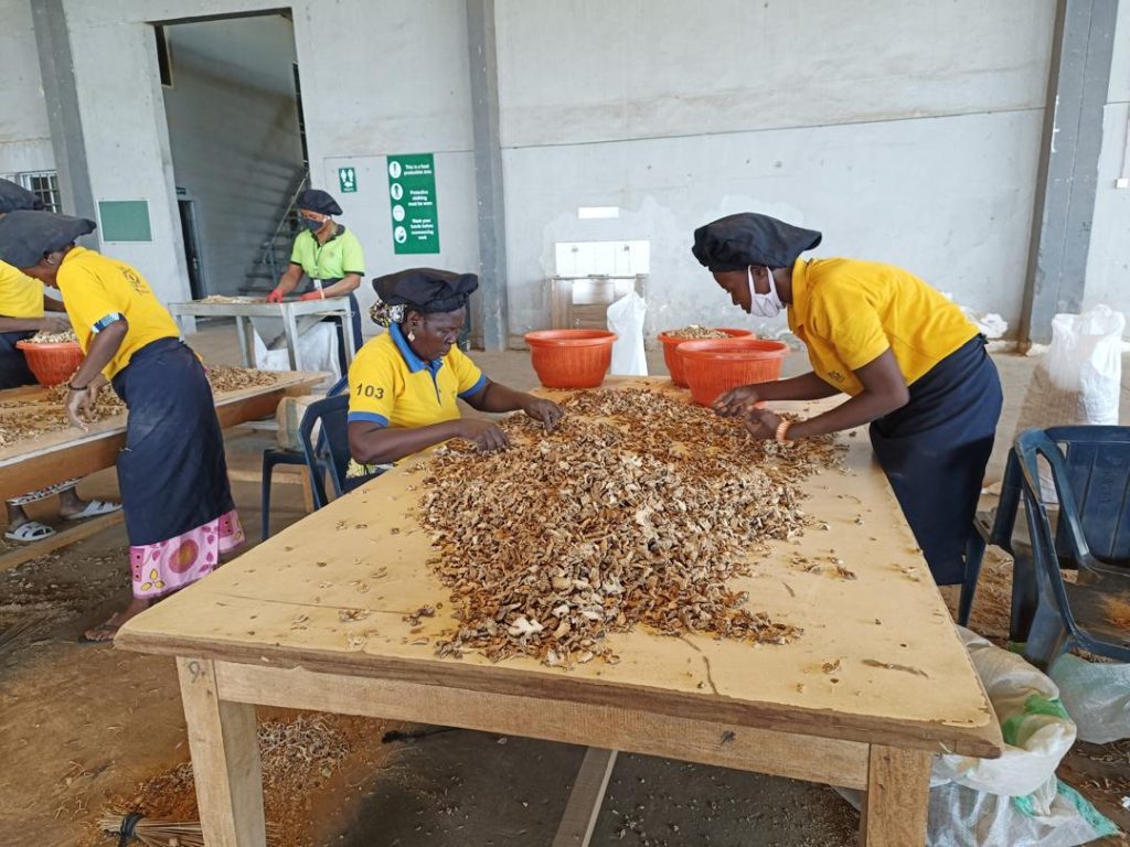 Aavishkaar Capital’s Global Supply Chain Support Fund Supports the Horizon Group Africa with USD 5 Million Loan to Scale Operations