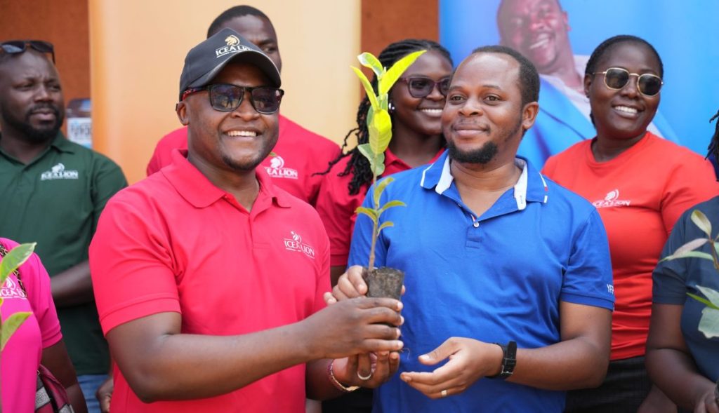 Peace High School benefits from ICEA LION environmental sustainability program